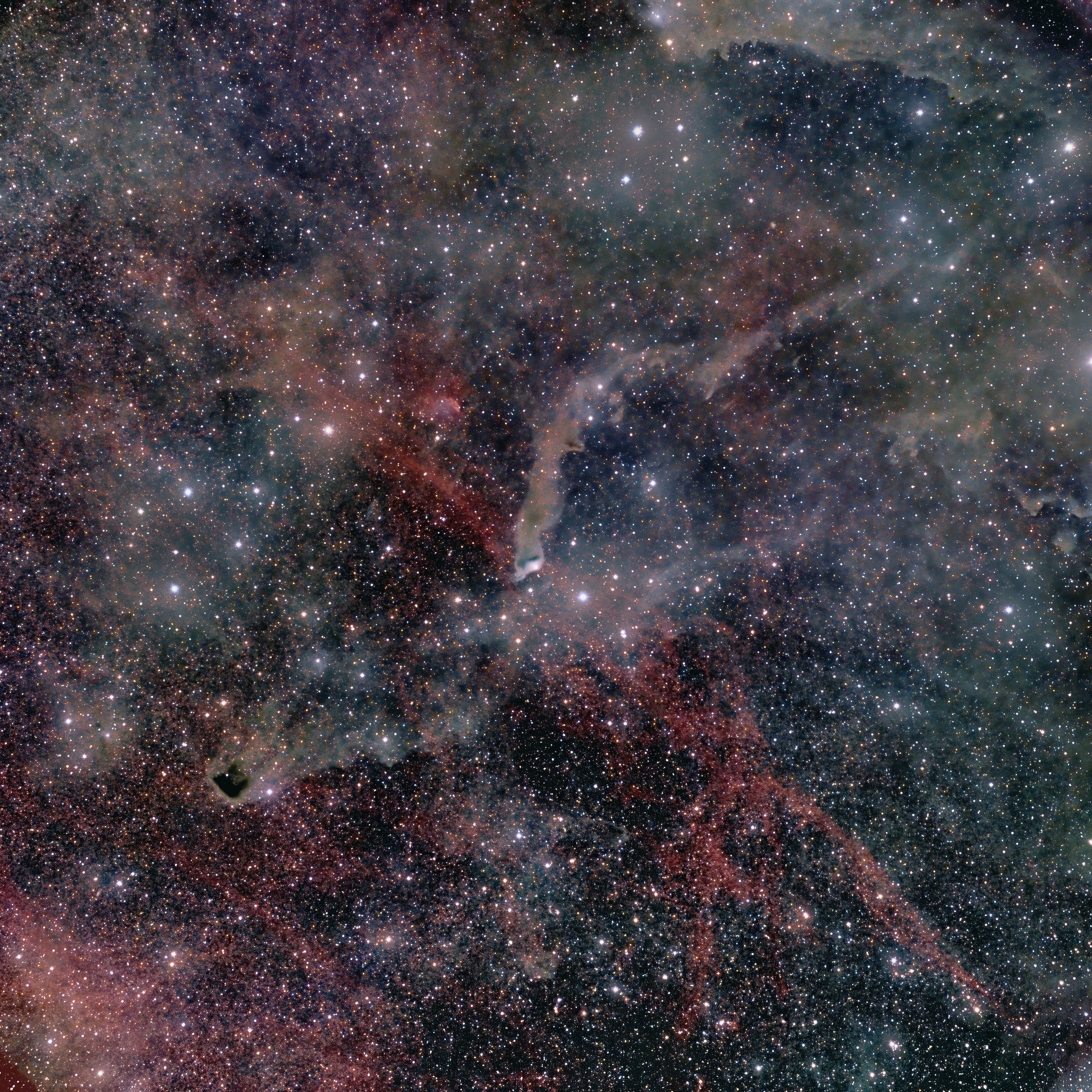 Lp Vulvodynia Entabeni Monochrome デスコア Lp Vulvodynia Entabeni Monochrome デスコア